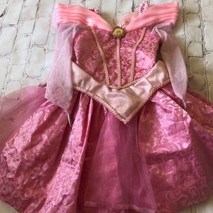 Authentic Disney Park Princess Aurora costume